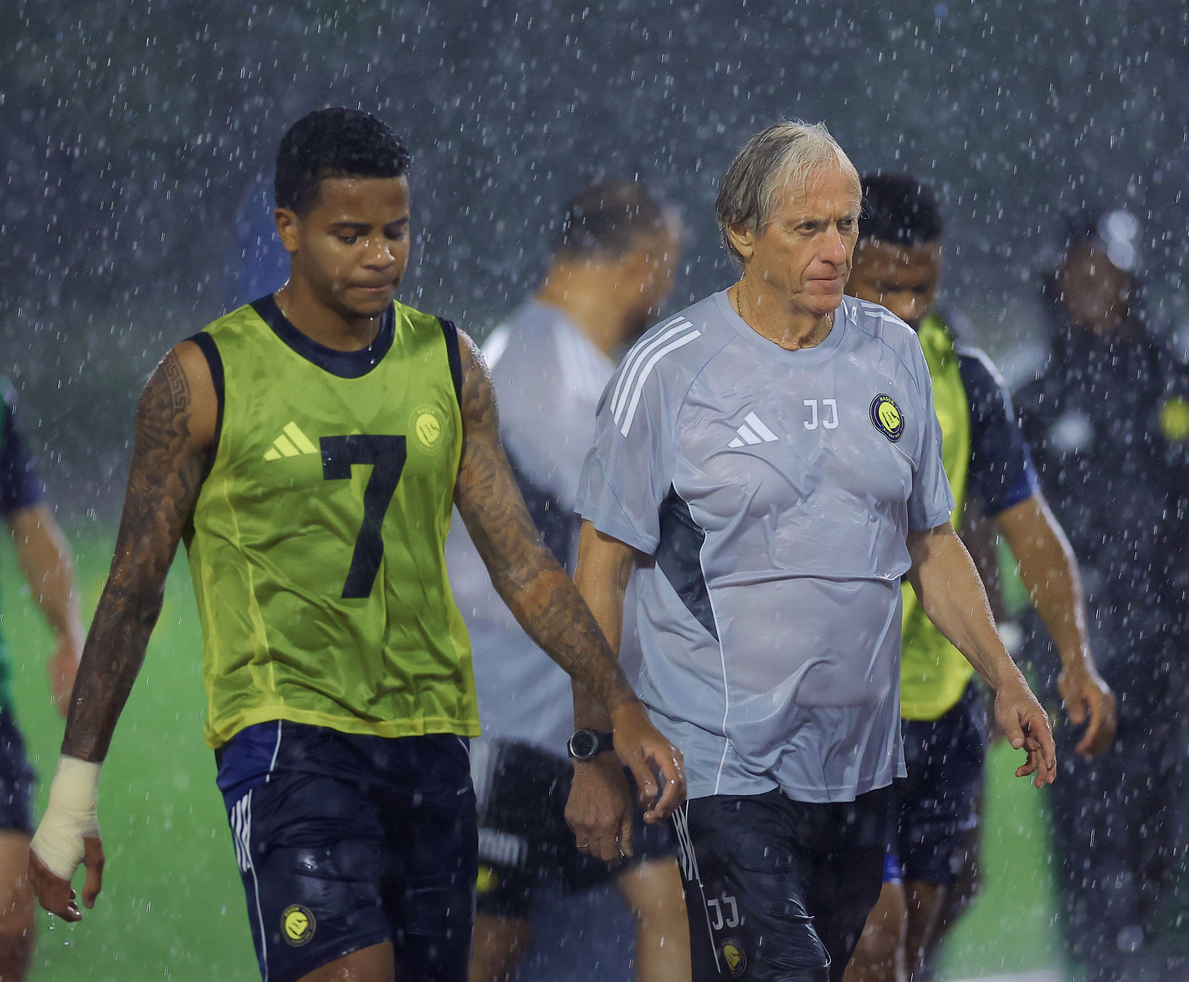 amp, AA, 发布训练图