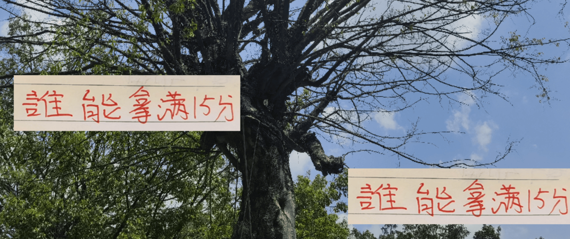 亚冠客场, 菱形站位已