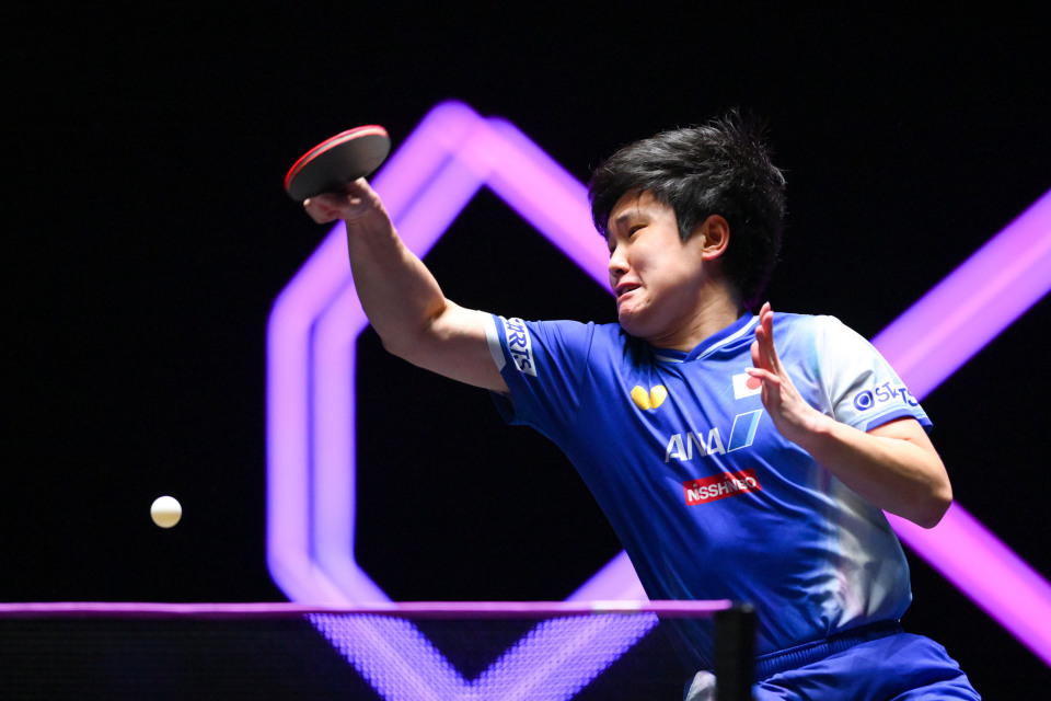 澳门冠军赛, com, 中庆祝