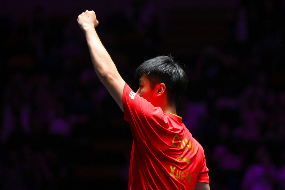 Uobfp, 张本智和在, 薛飞在比赛